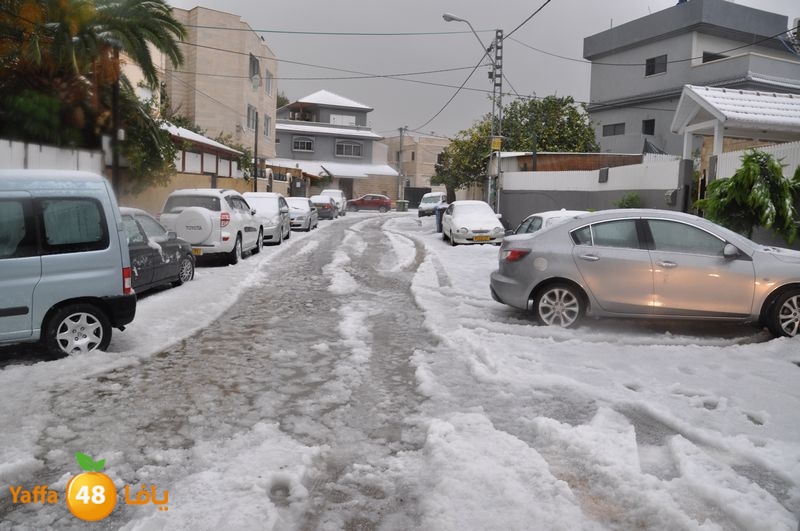 iceman lud 1213 (72).JPG